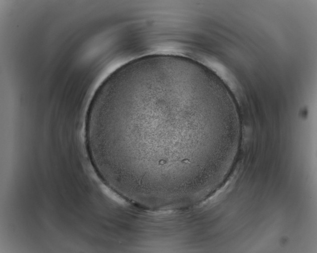 X0000102021331200807251323