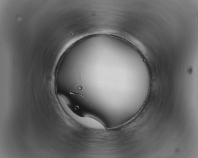 X0000102021332200807251323