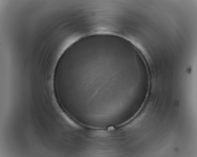 X0000102021333200807251323