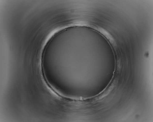 X0000102021334200807251323