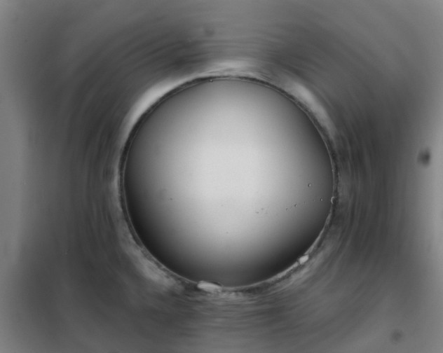 X0000102021336200807251323