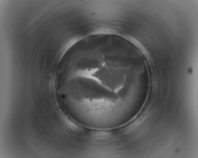 X0000102021337200807251323