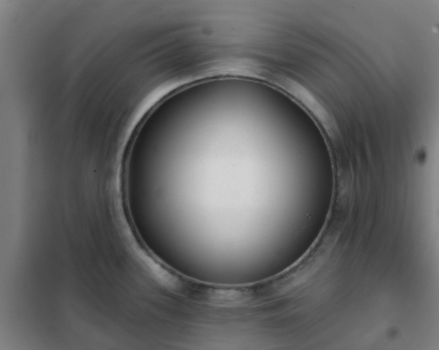 X0000102021339200807251323