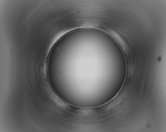X0000102021340200807251323