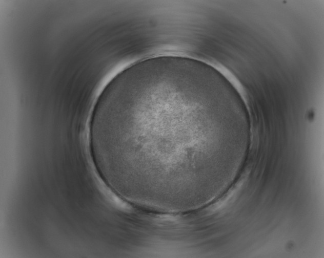 X0000102021341200807251323