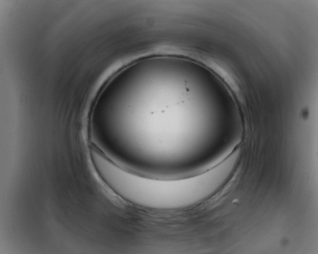 X0000102021342200807251323