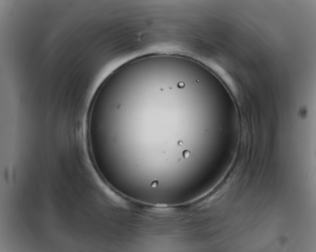 X0000102021343200807251323