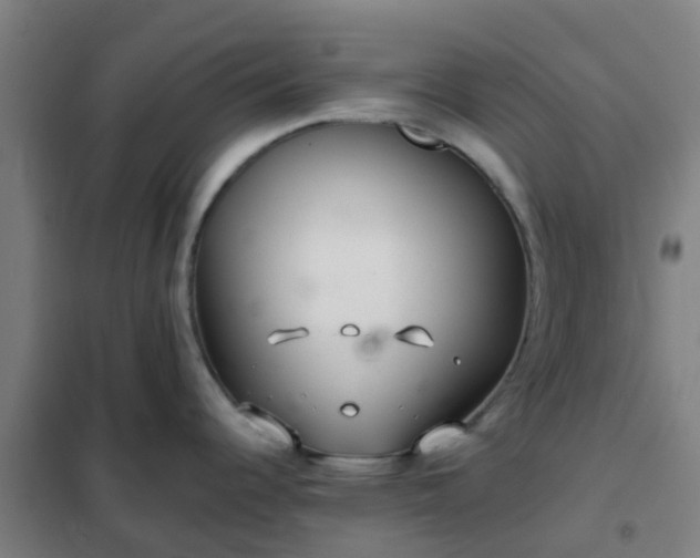 X0000102021344200807251323