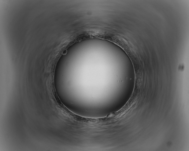 X0000102021345200807251322