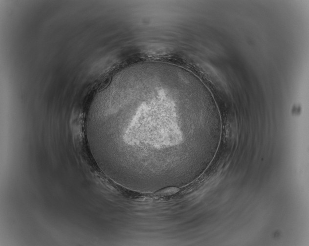 X0000102021346200807251322