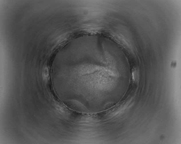 X0000102021347200807251322