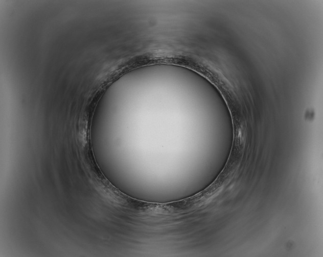 X0000102021348200807251322