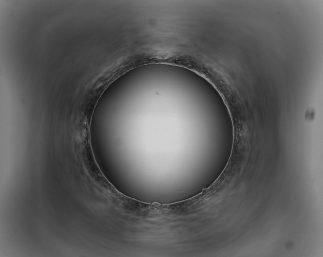 X0000102021349200807251322