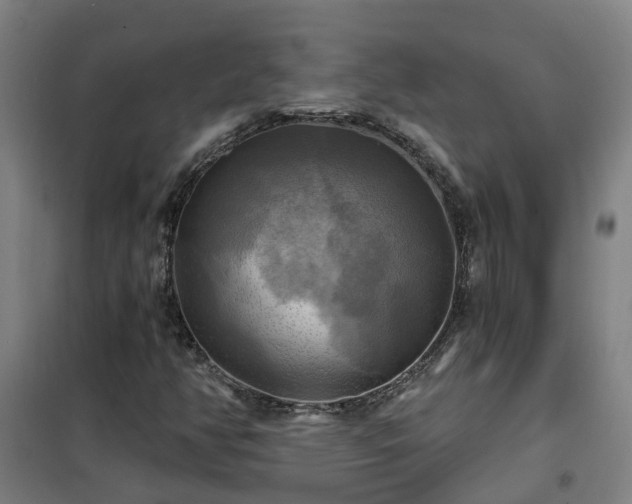 X0000102021350200807251322