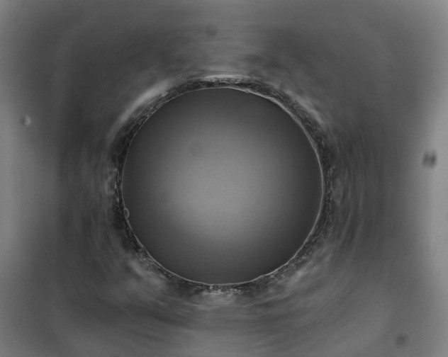 X0000102021351200807251322