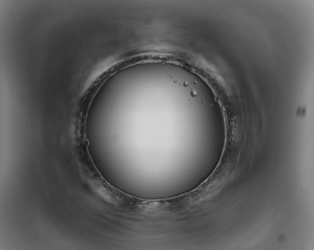 X0000102021352200807251322