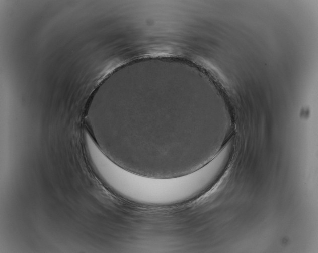 X0000102021353200807251322