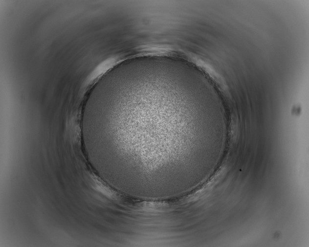 X0000102021354200807251322