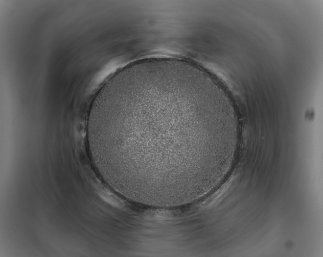 X0000102021355200807251322