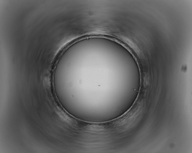 X0000102021356200807251322
