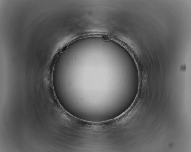 X0000102021357200807251322