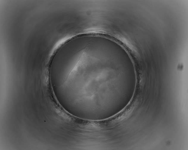 X0000102021358200807251322