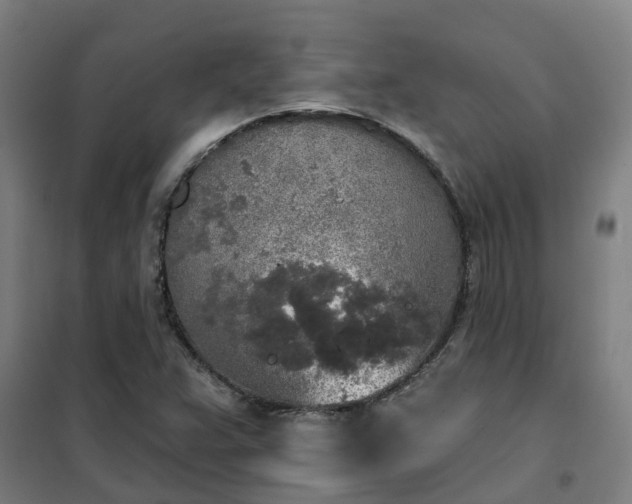X0000102021359200807251322