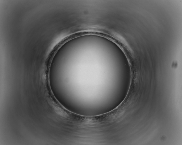 X0000102021360200807251322