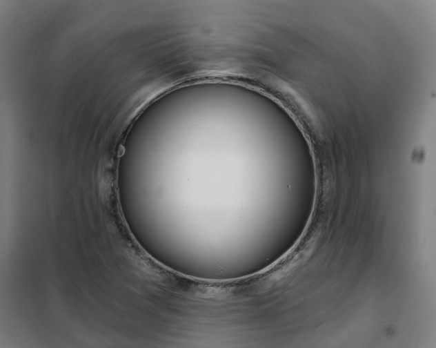 X0000102021361200807251322