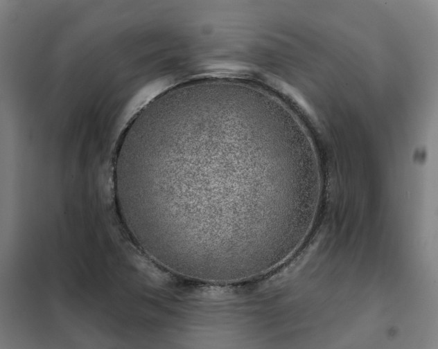 X0000102021362200807251322