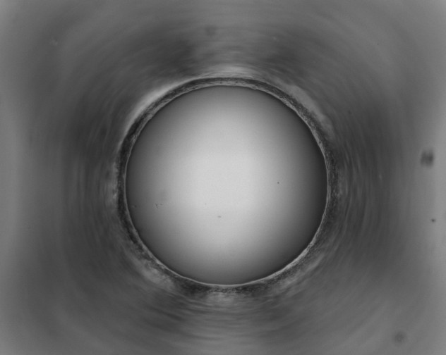 X0000102021364200807251322