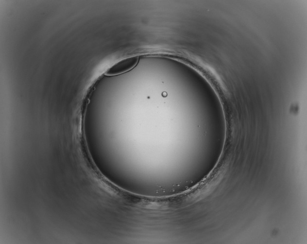 X0000102021365200807251322