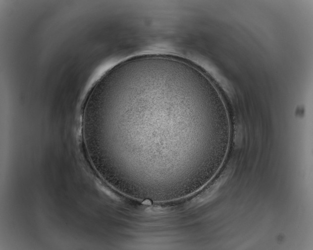 X0000102021366200807251322