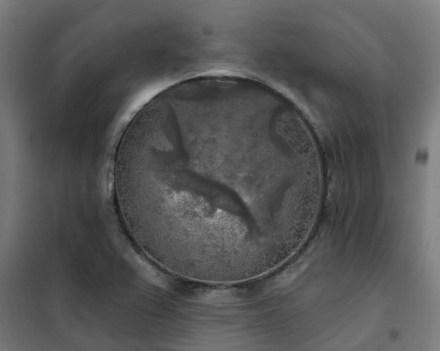 X0000102021367200807251322