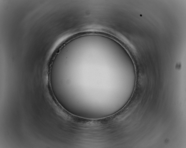 X0000102021368200807251322