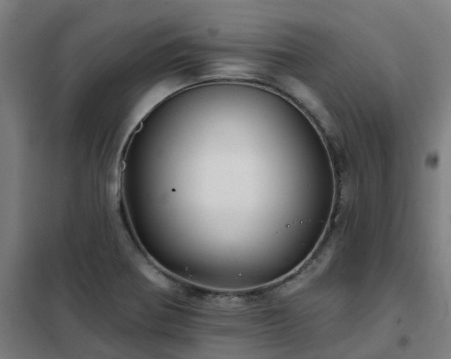 X0000102021370200807251322