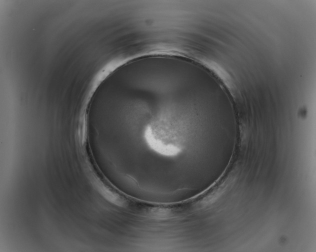X0000102021371200807251322
