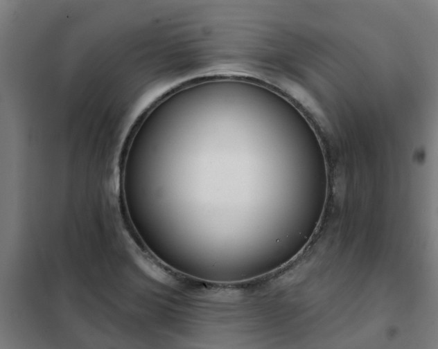 X0000102021372200807251322