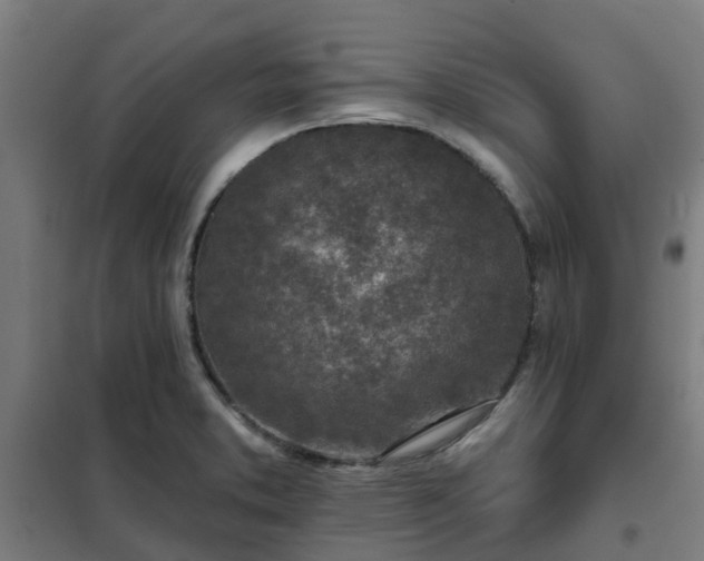 X0000102021373200807251322