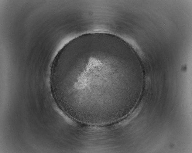X0000102021374200807251322