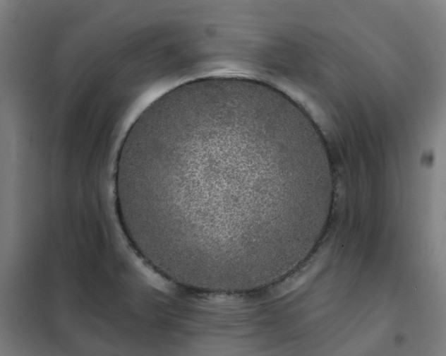 X0000102021375200807251322