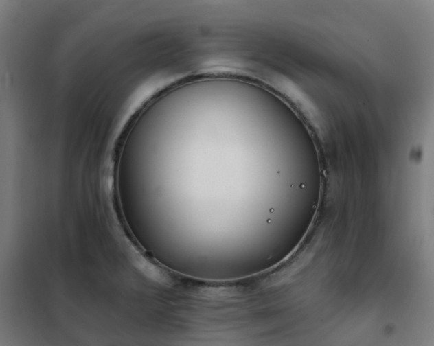X0000102021376200807251322