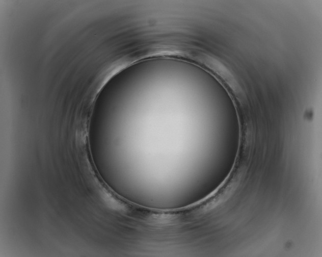 X0000102021377200807251322