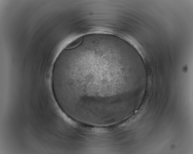 X0000102021379200807251322