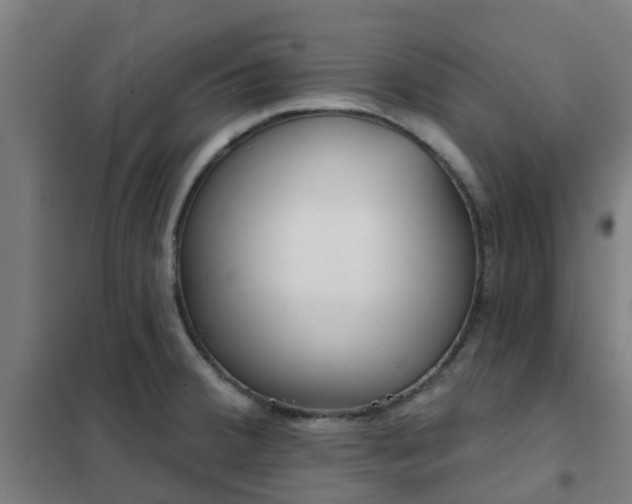 X0000102021380200807251322