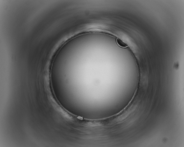 X0000102021384200807251322