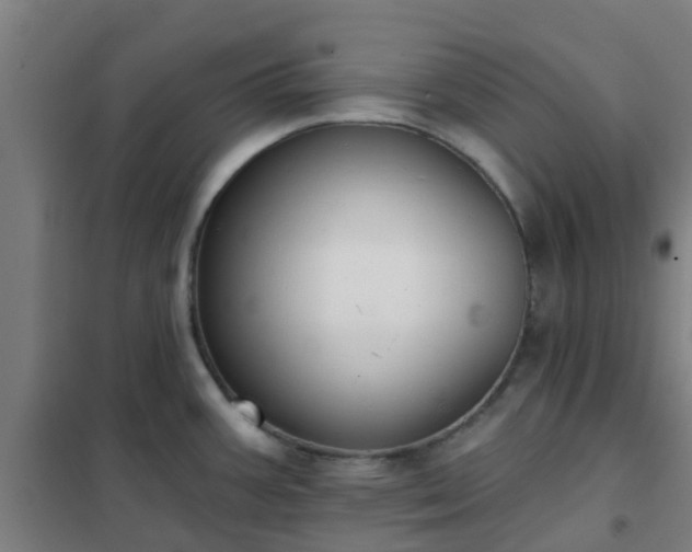 X0000102021387200807251322