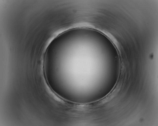 X0000102021390200807251322