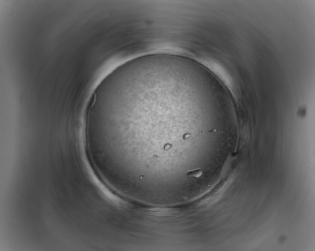 X0000102021391200807251322