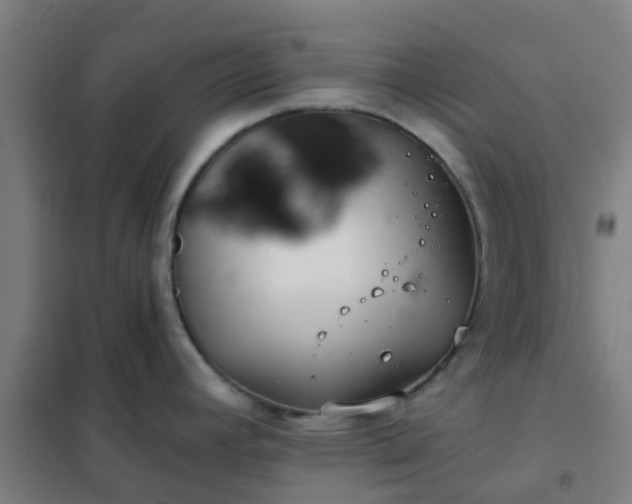 X0000102021392200807251322
